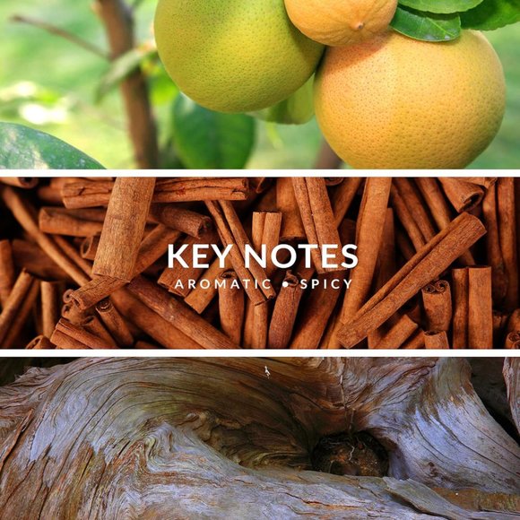 Territoire Cobalt Eau De Parfum, Men's Cologne (Cobalt) Gift for Him - Picture 4 of 9